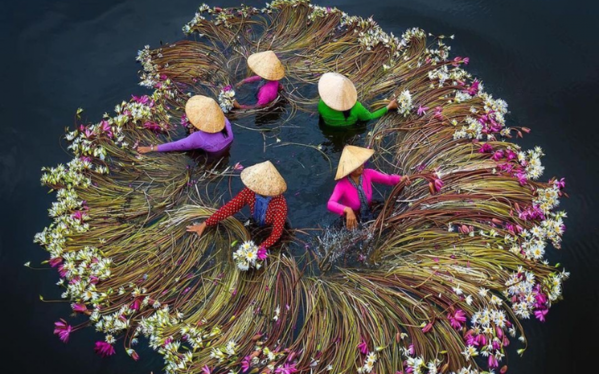 Amazing Family Tour Packages in Vietnam: 8 Days