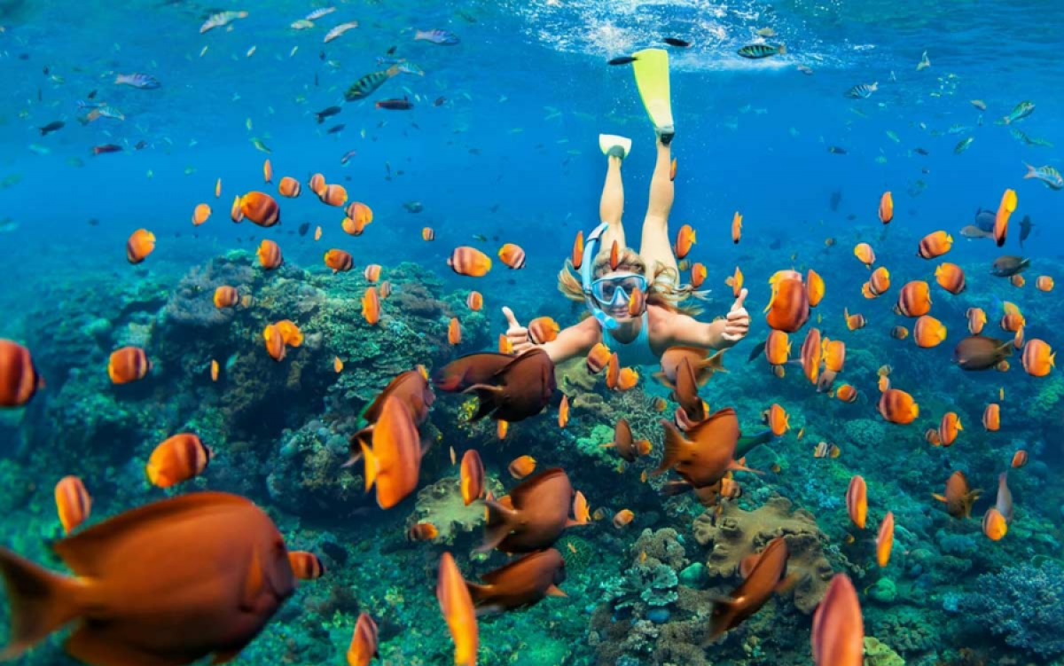 Best Indochina Highlights Tour - 15 Days