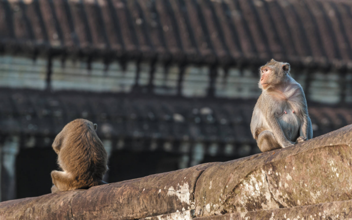 Cambodia's Highlights Package Tour - 8 Days