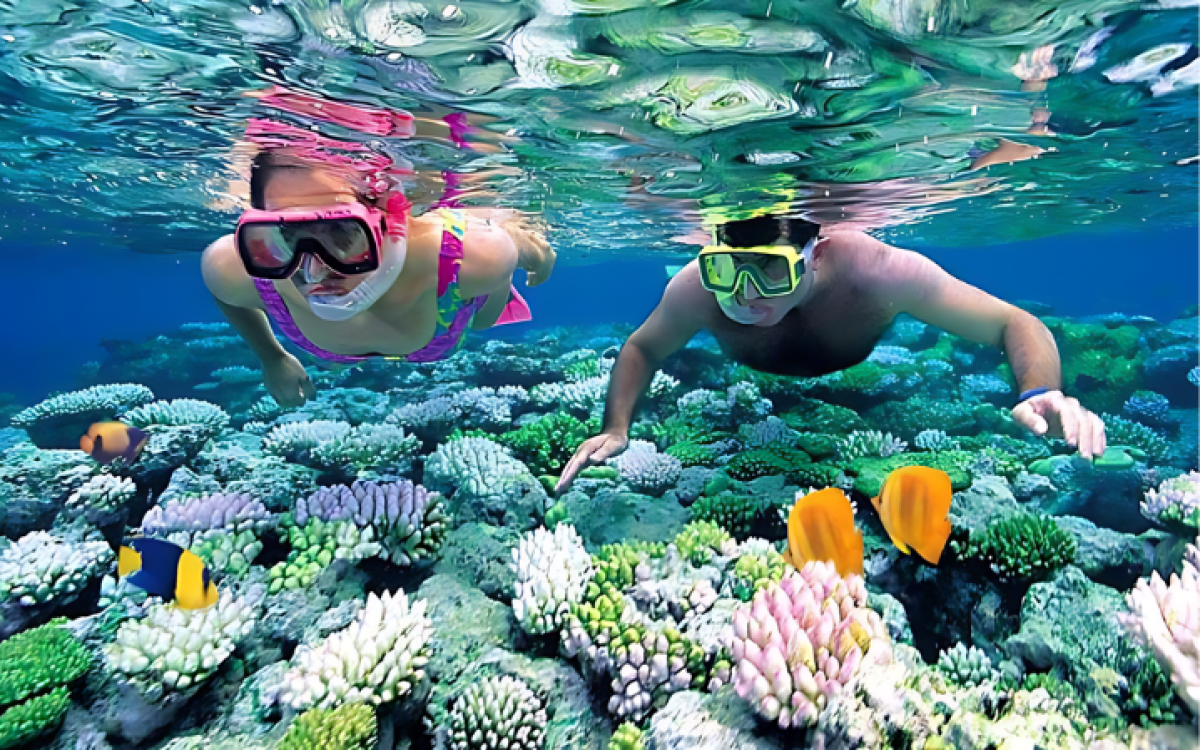 Discover Vietnam Jewels: A 21-Day Grand Exploration Tour