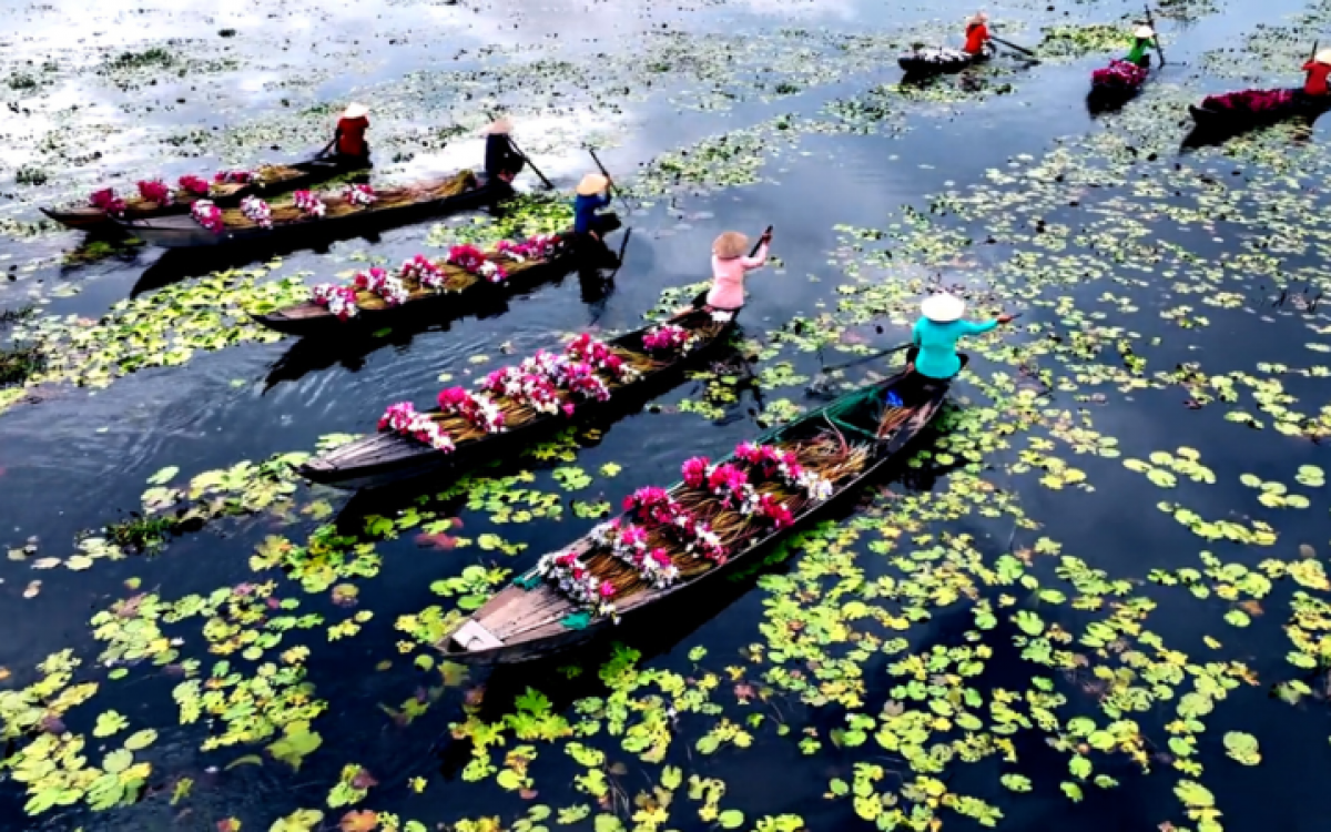 Vietnam Journey: Excellence in Tour Packages - 12 days