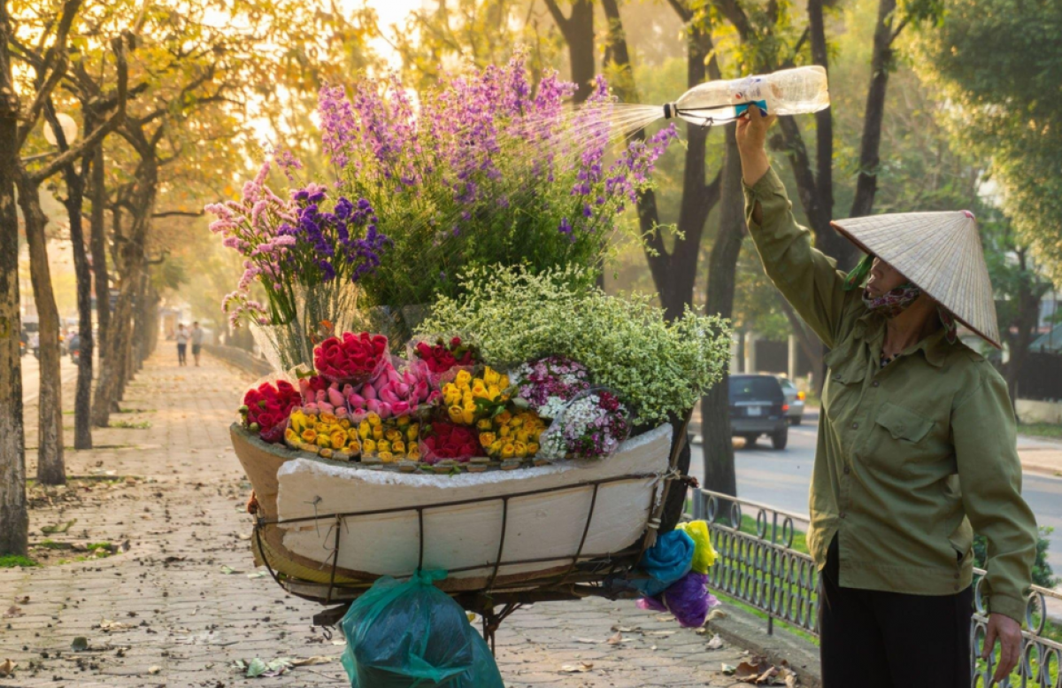 Impressive Vacation to Vietnam, Thailand & Singapore - 14 Days