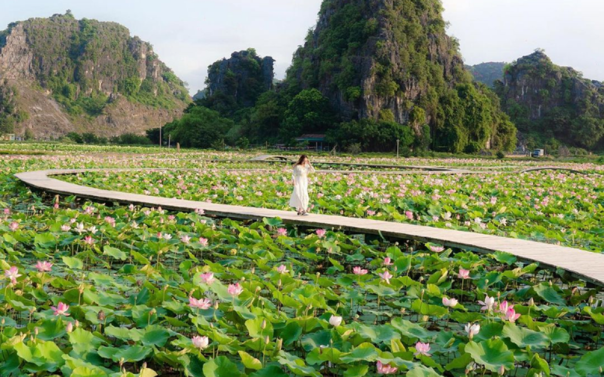 Nature Adventure: North Vietnam 6-Day Trekking Tour