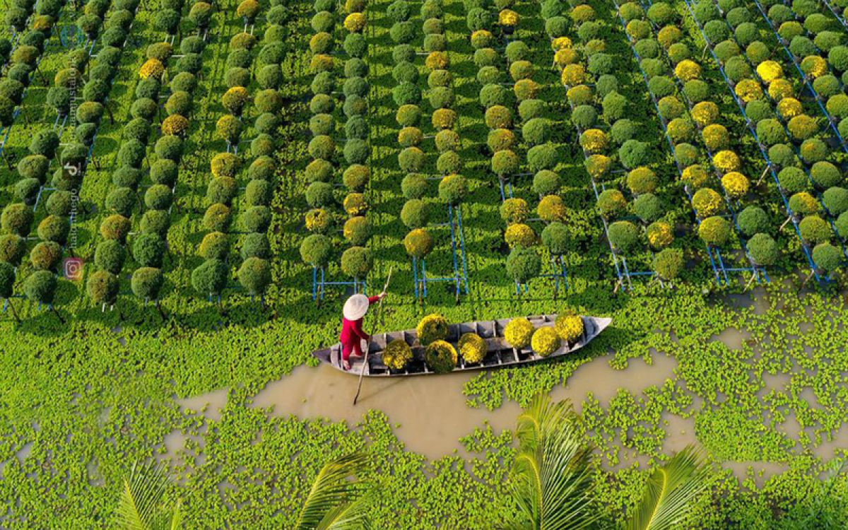 Mekong Delta & Phu Quoc Beach Kids Friendly Holiday