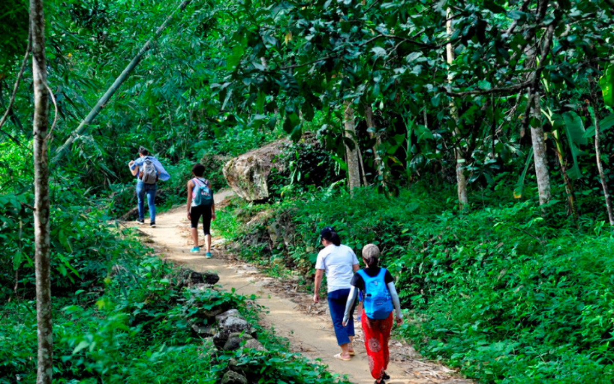 Nature Adventure: North Vietnam 6-Day Trekking Tour