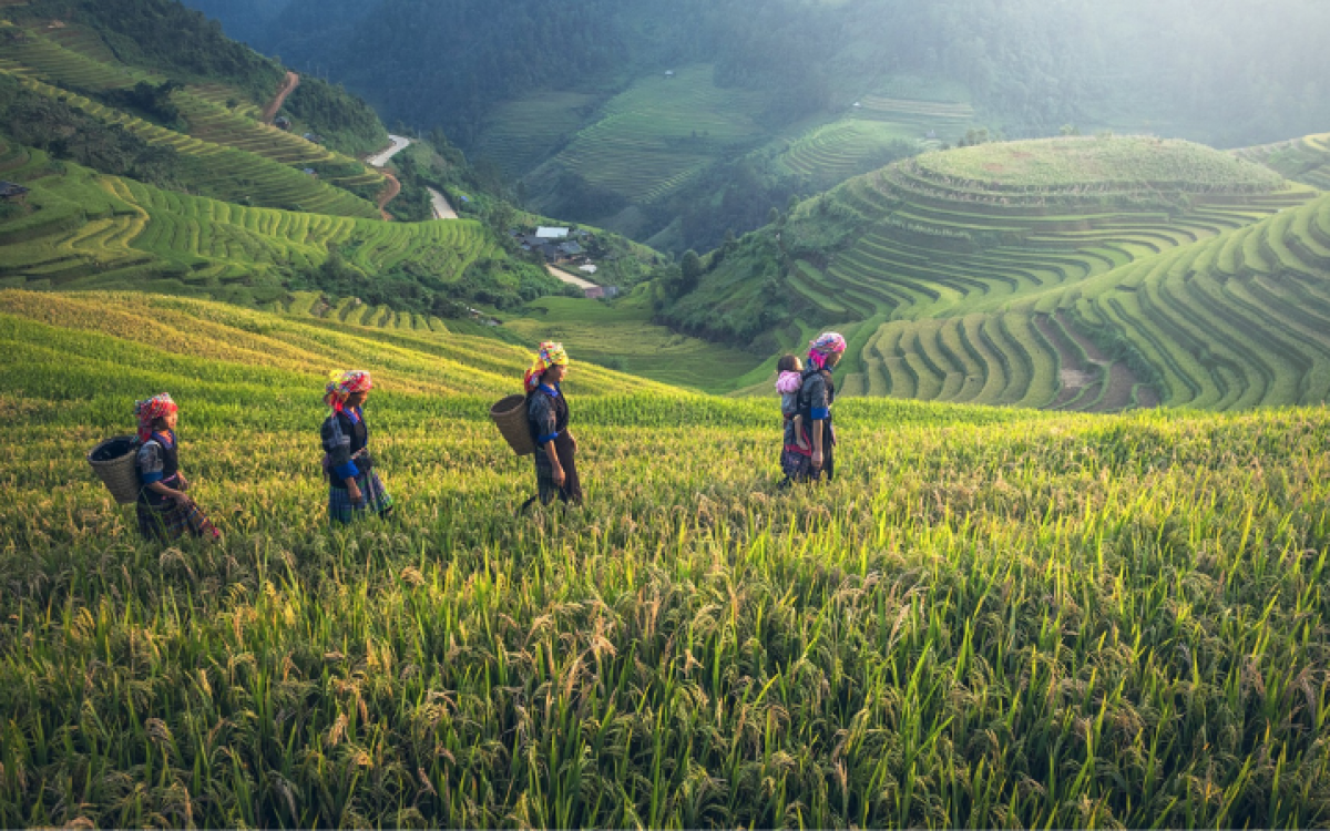 Northern Vietnam: 7 Days of Exciting Adventure Tours