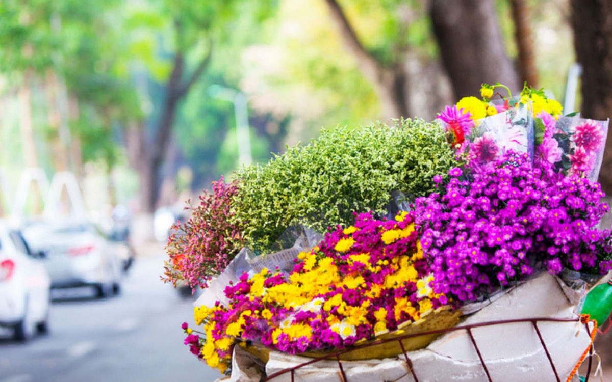 Golf & Culture Package Tour in Vietnam (19 Days)