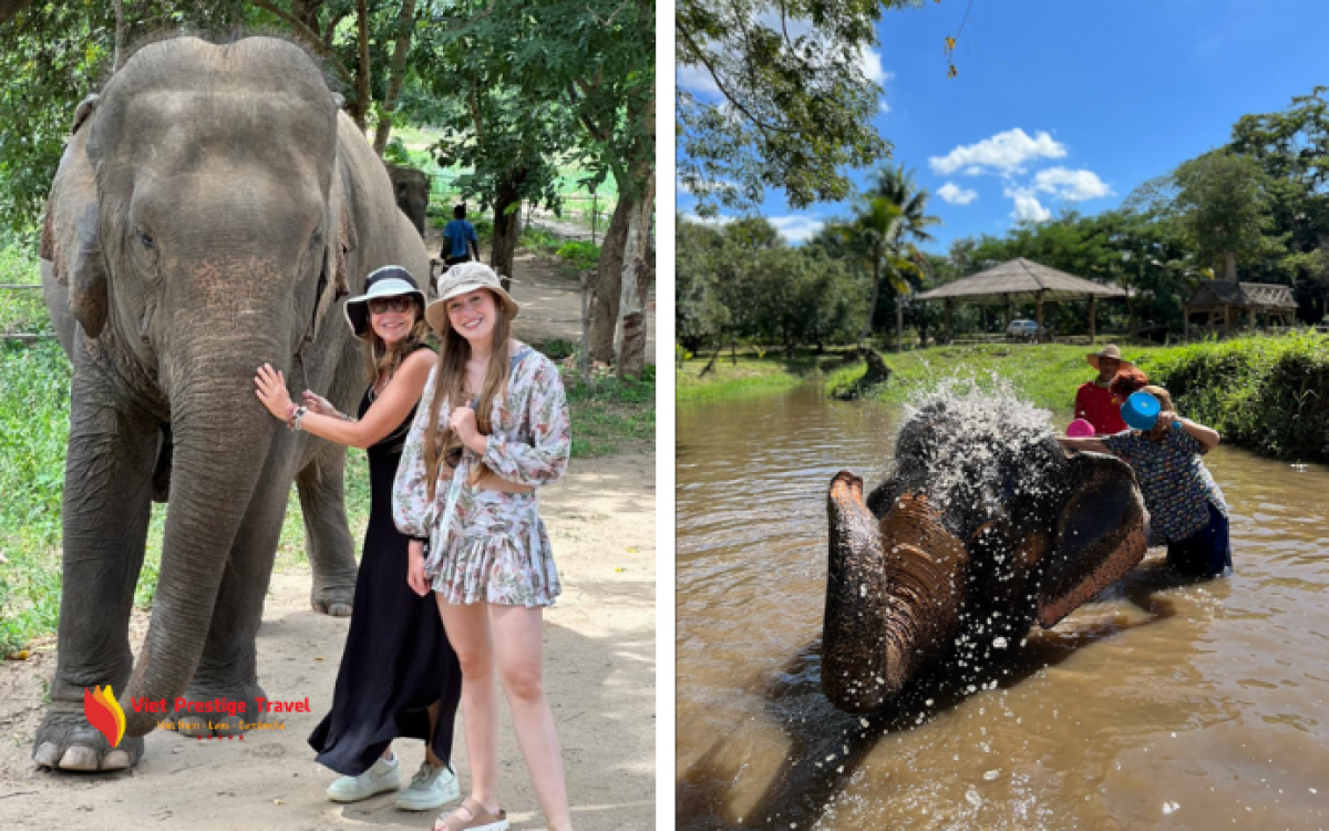 Thailand Family Tour: A 8-day Vacation