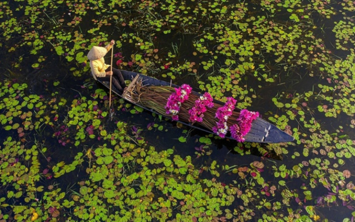 Vietnam Family Vacation: 7-Day North to South Wonders