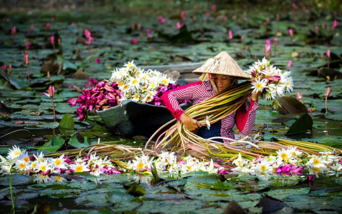 Vietnam Exploration Family Tour Package: 11 Days