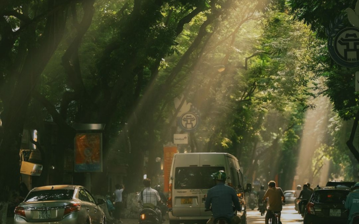 Vietnam Heritage Tour: 10 Days of Cultural Splendor