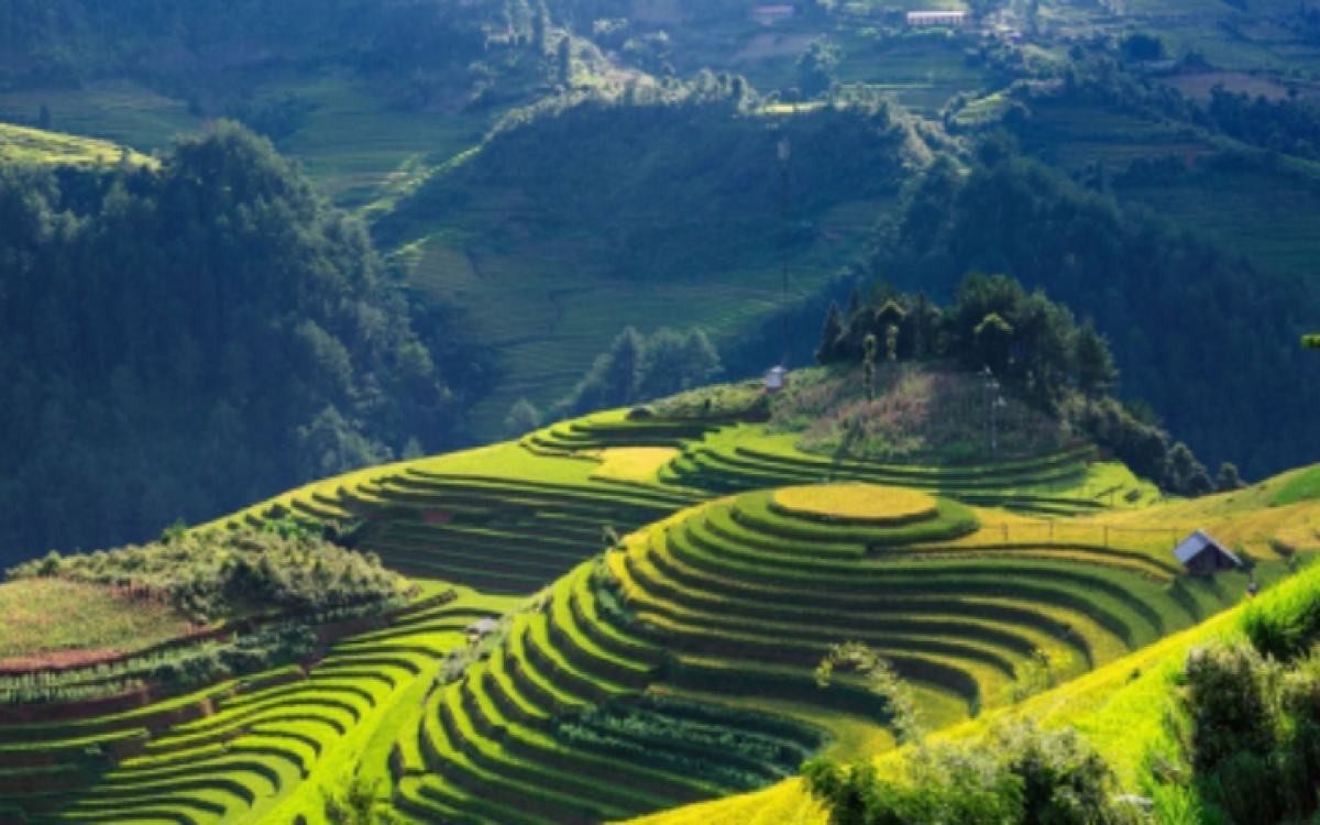 Vietnam Highlight Vacation