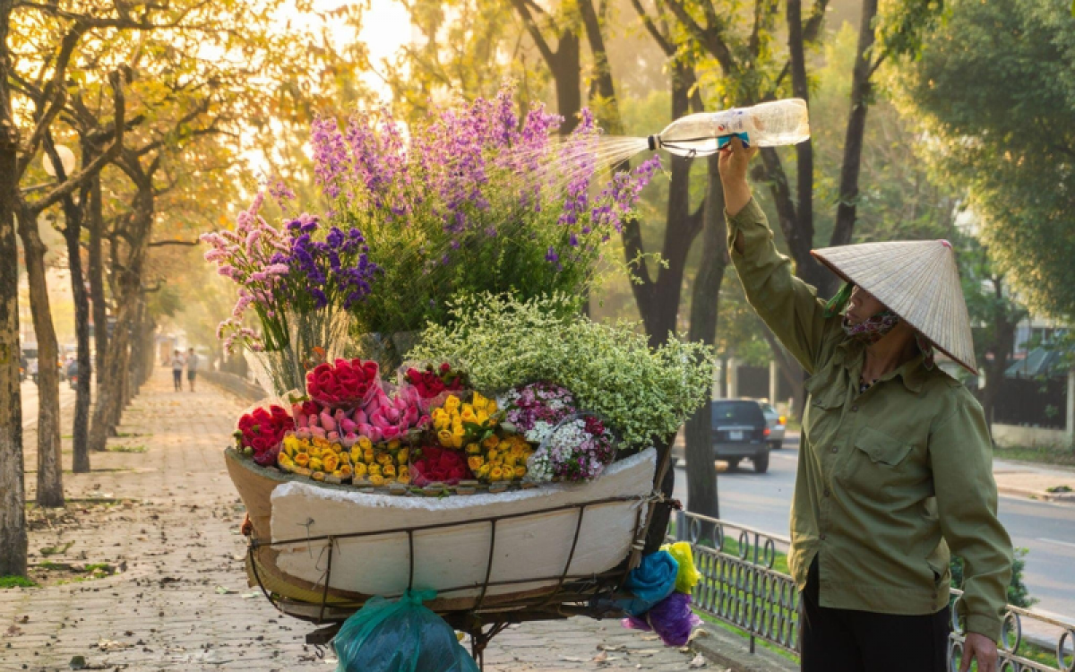 Vietnam Iconic Odyssey: 8-day Journey from North to South