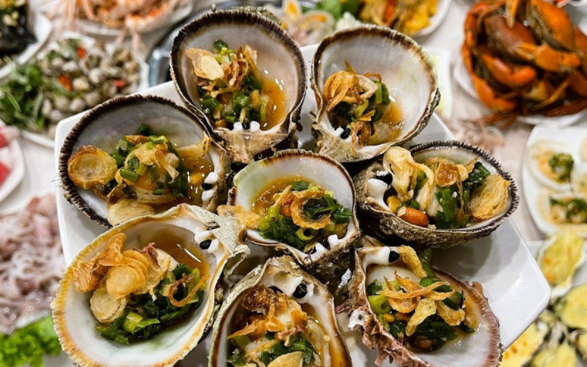 Vietnam Journey: Excellence in Tour Packages - 12 days