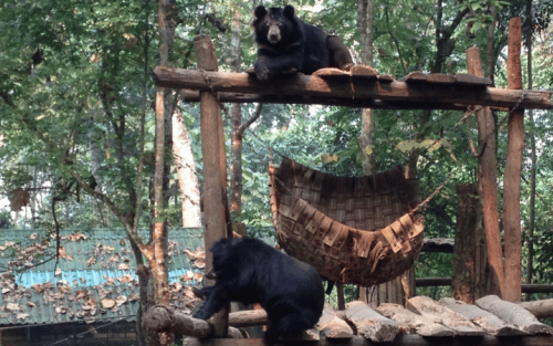 Ancient Laos Expedition: 4 Days 3 Nights Luang Prabang Discovery