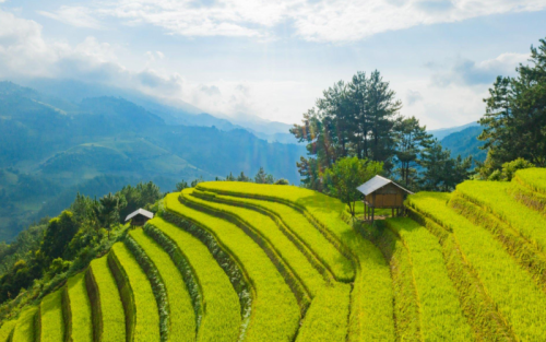 Best Vietnam Travel Package - 14 days from North to South