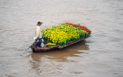 Best Vietnam Travel Package - 14 days from North to South