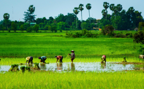 Cambodia Highlights Family Vacation Tour - 8 Days
