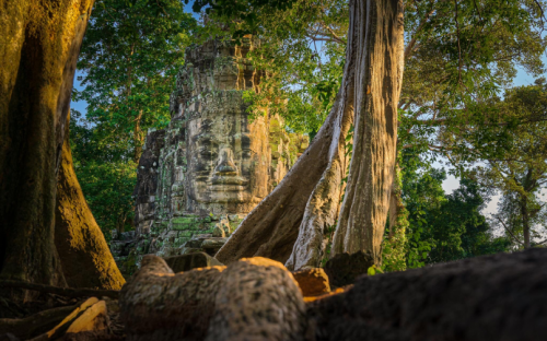 Cambodia Highlights Family Vacation Tour - 8 Days