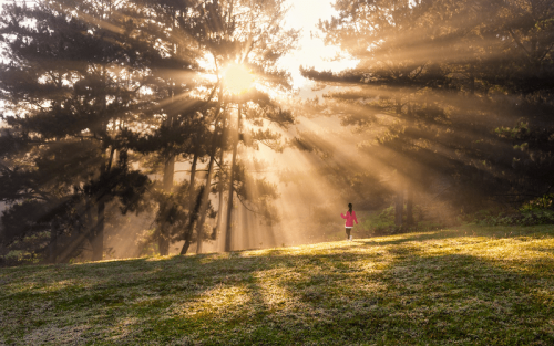 Discover Vietnam Jewels: A 21-Day Grand Exploration Tour