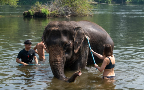 14 Days of Southeast Asia Tour Package