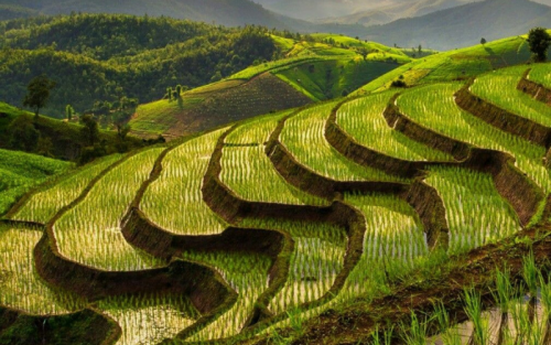 Discover Vietnam Jewels: A 21-Day Grand Exploration Tour