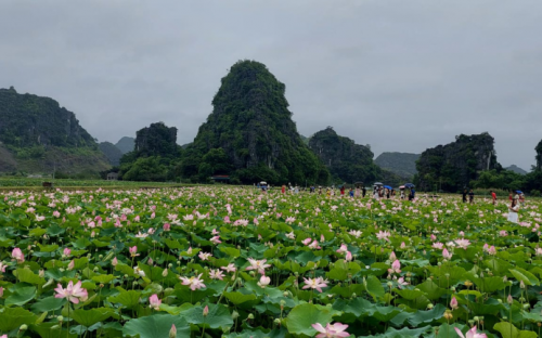 Authentic Northern Vietnam Vacation - 5 Days