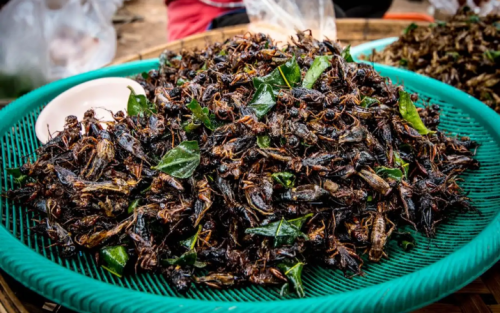 Family Holiday Tour Packages in Cambodia: 8 Days