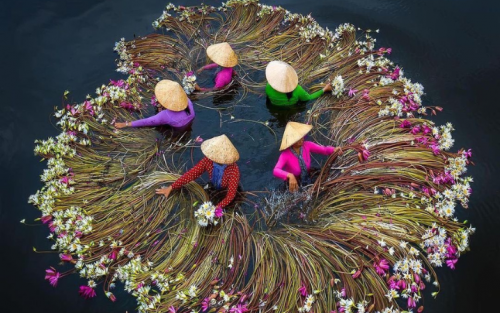 Family Vacation Packages in Vietnam: 12 Days