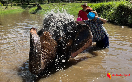 Impressive Vacation to Vietnam, Thailand & Singapore - 14 Days