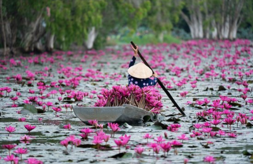 Incredible Thailand - Laos - Cambodia - Vietnam Tour Package (22 Days)