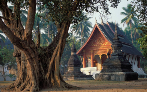 Laos Signature Voyage: 5 Days in Vientiane, Luang Prabang