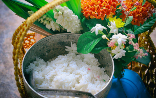 Amazing Journey: Vietnam and Laos with Family (13 days)