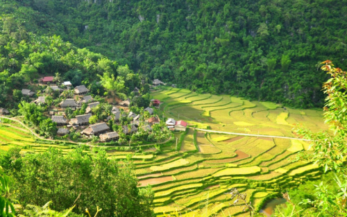 Luxury Vietnam Culinary Tour: 12 Days