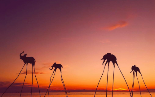 Mekong Delta & Phu Quoc Beach Kids Friendly Holiday