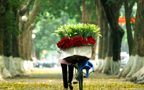 Authentic Northern Vietnam Vacation - 5 Days