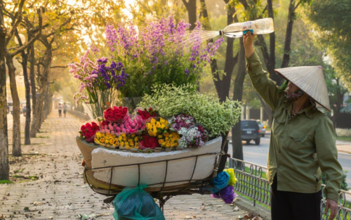 Adventure Tour Packages: Experience Incredible Northern Vietnam (11 Days)