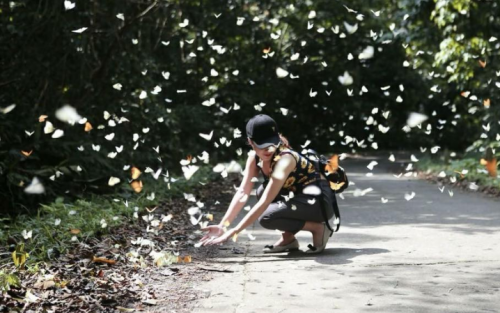 Adventure Tour Packages: Experience Incredible Northern Vietnam (11 Days)