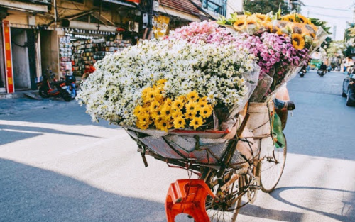 Northern Vietnam Tour Packages: 7 days