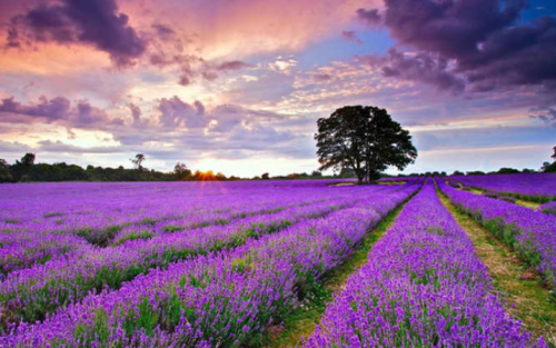 Golf & Culture Package Tour in Vietnam (19 Days)