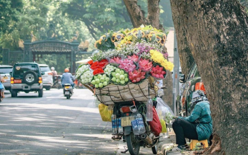 Southeast Asia Family Tour Package: 14 Days