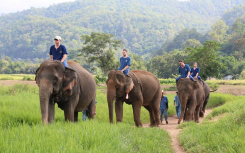 Southeast Asia Tour: 20 Days in Singapore, Thailand, Vietnam