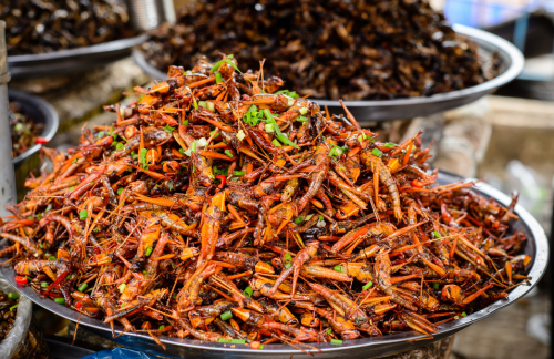 Travel Package to Vietnam, Cambodia, and Thailand – 15 Days