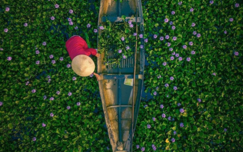 Vietnam Family Vacation: 7-Day North to South Wonders