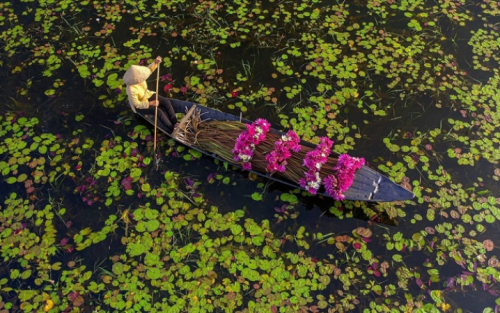 Vietnam Family Vacation: 7-Day North to South Wonders