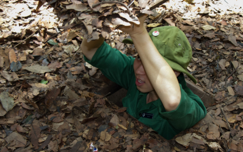 Vietnam Expedition: North to South Incredible Journey (6 days)