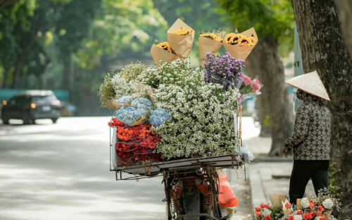 Vietnam Heritage Tour: 10 Days of Cultural Splendor